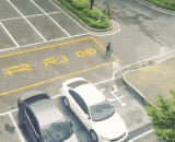 今天这风有点喧嚣啊，根本追不上这货啊… - It's a bit noisy today. It can't catch up with this product.