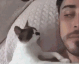 女朋友正常时VS女朋友闹别扭时，哈哈哈哈哈形象[2P] - When your girlfriend is normal, VS girlfriend is making trouble, ha ha ha ha ha image [2P]