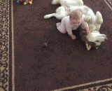 Two Kazakhstan children's paper is very warm when they are wearing children, usually neurotic [3P],二哈带小孩纸，戴孩子的时候还挺暖的，平常就神经病[3P]