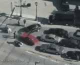 卧槽！这镜头抢的，大写的牛逼啊 - What the fuck！ The shot, the big bull