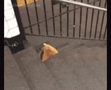 The New York subway station, a mouse with a pizza,纽约地铁站，一只老鼠带着披萨狂奔