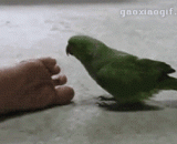 这脚臭的，差点就晕了过去 - The stink, almost fainted