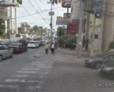 红灯压斑马线的结果 - The result of a red light zebra line