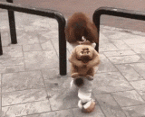 歪！妖妖灵吗？这里有东西成精了！ - Skew! Is the demon spirit? There's something fine here!