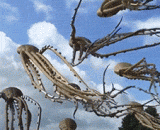 这些风筝确定不是用来吓人的？ - Aren't these kites used to be scary?