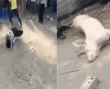 震惊！一男子当众滚地无人救助 - Shock! A man rolls on the ground without a rescue