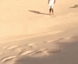 中东土豪的童年玩伴 - The childhood playmates of the Middle East tyrant