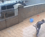 It's a real anger to see these acts of stealing dogs.,看到这些偷狗贼的行为，真的要发火了