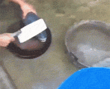 Fish: which is so easy to eat me...,鱼：哪有那么容易就吃到我…