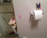 Toilet paper automatic cutting machine dare to use hand to take paper!,厕纸自动切断机 敢用手去拿纸嘛！