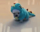 一只还没学会走路的小恐龙 - A little dinosaur that hasn't learned to walk yet