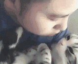 养猫就是养了个女票啊 - To keep a cat is to have a female ticket