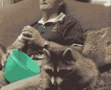 You eat popcorn together with the main silver,干脆面君和主银一起吃爆米花