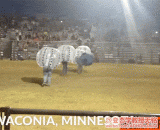 Man finally invented a safe way to bullfight,人类 终于发明了一种安全斗牛的方法