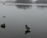 Well！ You dregs, look at the drifting of labor and capital,嘿！你们这群渣渣，快看劳资的漂移