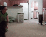 A goat that thinks he is a star.,一只以为自己是汪星人的山羊