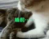 婚前 VS 结婚以后，很形象了 - When VS married before marriage, it was very image