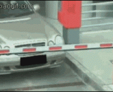 The way of a woman driver's card,女司机的刷卡方式