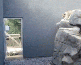 明明可以直接下来，非要装逼玩套路！ - Obviously, you can come down directly and pretend to be forced to play.