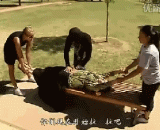 The human body divides the magic and frightens the people.,人体分割魔术，吓死人了