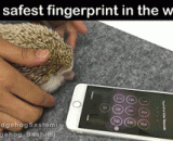 This is probably the safest fingerprint in the world.,这可能是世界上最安全的指纹解锁了...