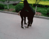 情侣、基友各种翻跟头亲亲gif动态图集锦 好有爱哦！！(多图) - Lovers, friends of all kinds of somersault kiss GIF dynamic diagram collection good love oh!! (multi graph)