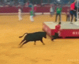 The bullfight can't be turned off by the bull's pants. It's so miserable.,斗牛不成反被公牛扒掉裤子，简直笑惨了！
