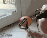 各种屌炸天的削苹果神器[5P] - A variety of Diao fried day cutting Apple deity [5P]