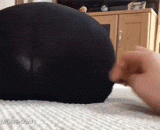 这是我见过最性感的屁股了 - This is the most sexy butt I've ever seen