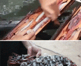 船蛆，菲律宾的蠕虫美食 - The worm gourmet of the ship's maggot, Philippines
