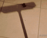 当你在家发现了一只蜘蛛，卧槽！这家我是呆不下去了 - When you found a spider at home, a grooves! I can't stay in this family.