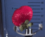 搅拌机削草莓，高速摄影下显得好可口 - The strawberry is cut by the mixer, which looks delicious under the high speed photography.
