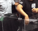 恐惧源于未知 - Fear comes from the unknown