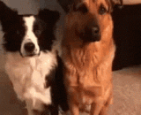 有人来拍照时，如何显得脸小 - How do you look small when someone takes a picture