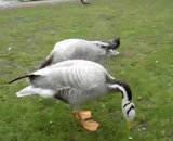 When my sister promised to date you,当妹子答应跟你约会时