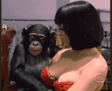 这样的尺寸还是不错的 - This is a good size.