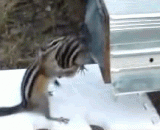 孩子长得太胖了，妈妈简直为它操碎了心 - The child has grown too fat, and mother has broken her heart.