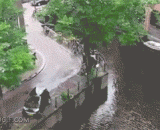 This is supposed to be the famous car of the autumn mountain, and the result is...,本以为是秋名山车神，结果....求岸边车的心理阴影面积