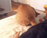 麻痹谁碰我 - Who is paralyzed to touch me