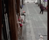 泰日天最近老是翻车... - Thailand is always turning over the car.