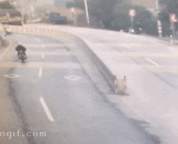 摩托车：主人，我先走咯 - Motorcycle: my master, I'll go first