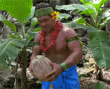 族长教你怎么剥椰子，看着牙疼 - The chieftain teaches you how to peel coconuts and watch the toothache