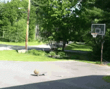 我有特别流弊的投蓝方式 - I have a particularly corrupt way of throwing blue