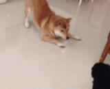 按错了大招键，放了个空大！ - Press the wrong key, put a big empty!