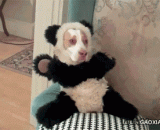 主银给我留点尊严好不，我是汪啊 - The main silver gives me some dignity, I'm wang.