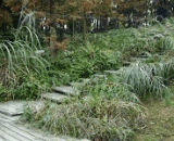 如果你有这款隐身衣你会做什么？ - What would you do if you had this stealth suit?