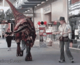 Walking the dog and walking the cat weakly exploded. Look at my pet on the top!,遛狗遛猫的弱爆了，看我高大上的宠物！