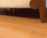 什么？可以吃薯片啦？ - What? Can you eat potato chips?