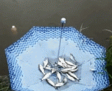 Is this a fish umbrella?,难道这是聚鱼伞？