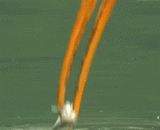 鱼：日了狗了，你倒是给我一个痛快！行不 - Fish: when the dog is gone, you give me a good time! Do not